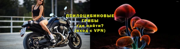 дмт Сосновый Бор