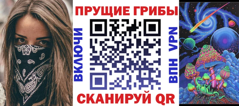 omg ссылка купить закладку Каменногорск Галлюциногенные грибы MAGIC MUSHROOMS