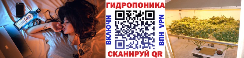 купить закладку  Каменногорск  Бошки марихуана план 